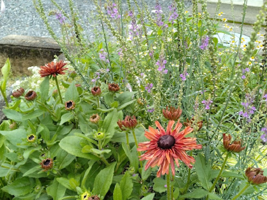 service サービス